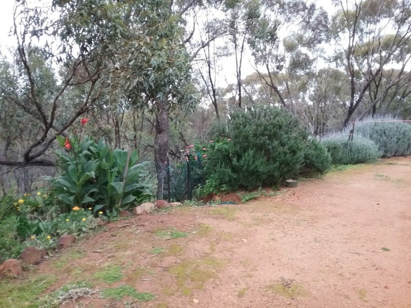 158 Timber Creek Crescent, Toodyay WA 6566