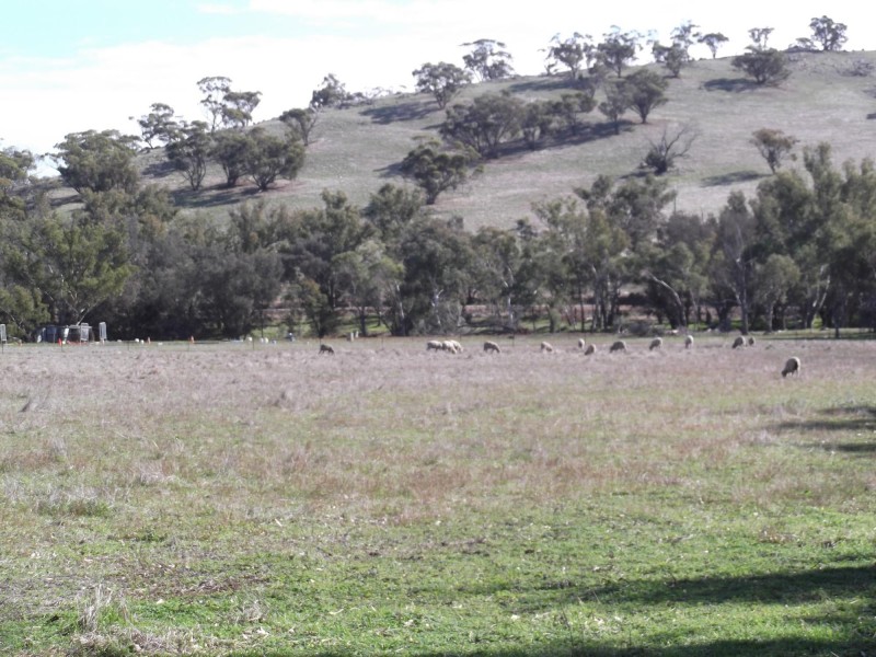 Lot 12 Whitfield Road, Toodyay WA 6566