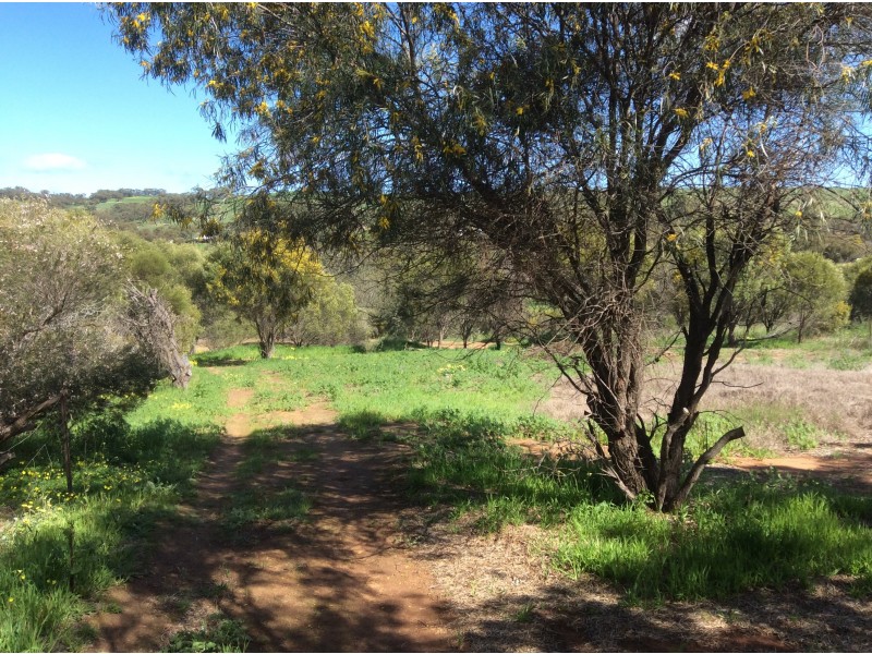 53 Toodyay West Road, Toodyay WA 6566