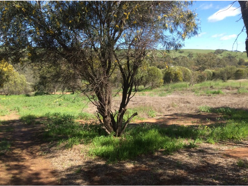 53 Toodyay West Road, Toodyay WA 6566