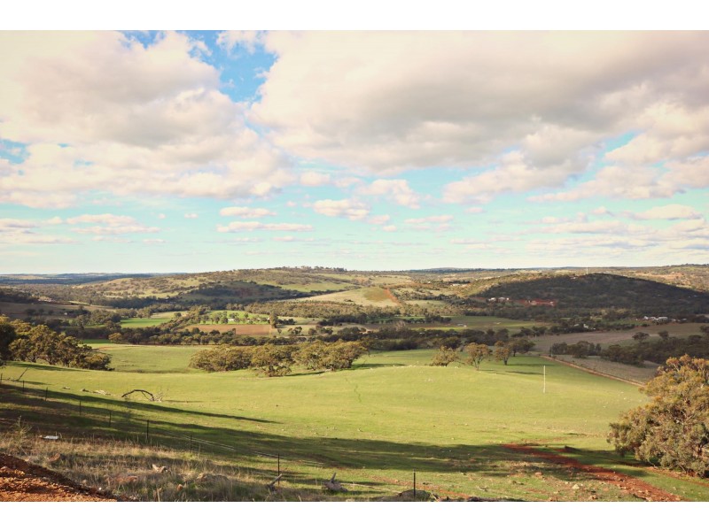 159 Phillips Road, Toodyay WA 6566