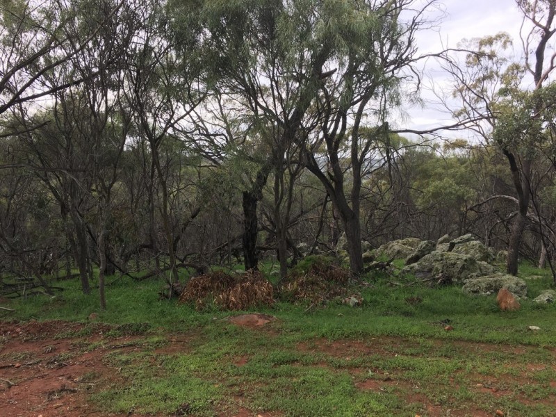 180 Horseshoe Road, Toodyay WA 6566