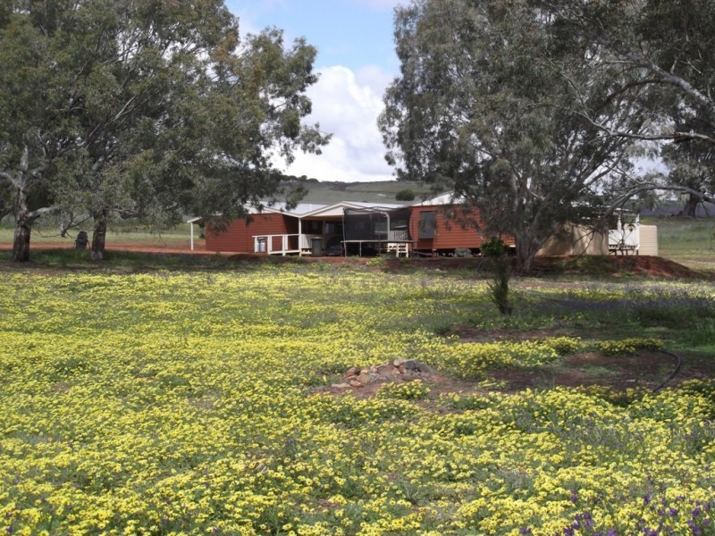 100 Boyagerring Road, Toodyay WA 6566