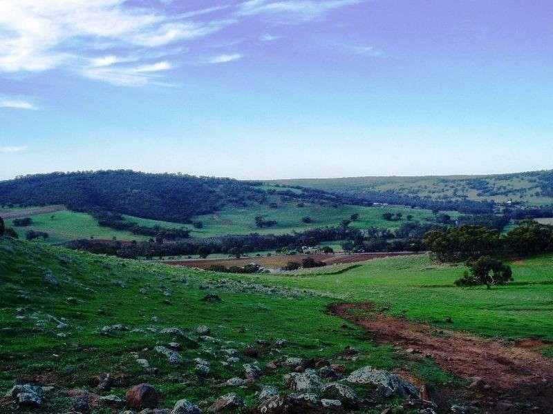 175 Bindoon-Dewars Pool Road, Toodyay WA 6566