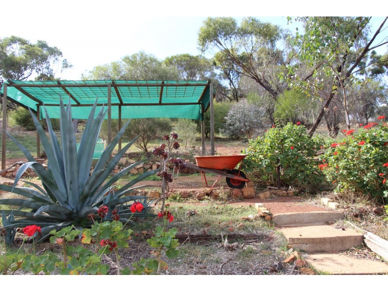 7 Connor Street, Toodyay WA 6566
