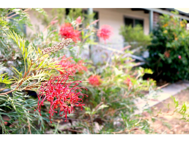 122 Railway Road, Toodyay WA 6566