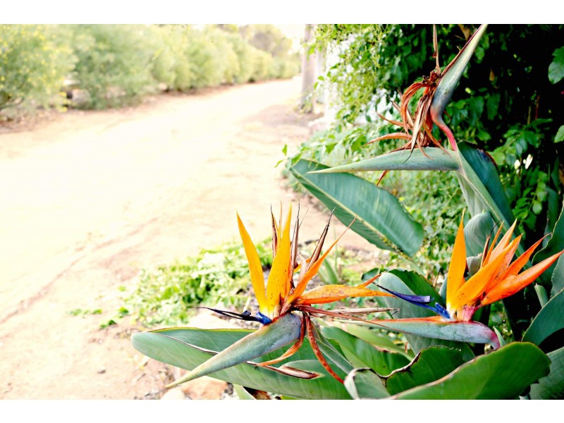 122 Railway Road, Toodyay WA 6566