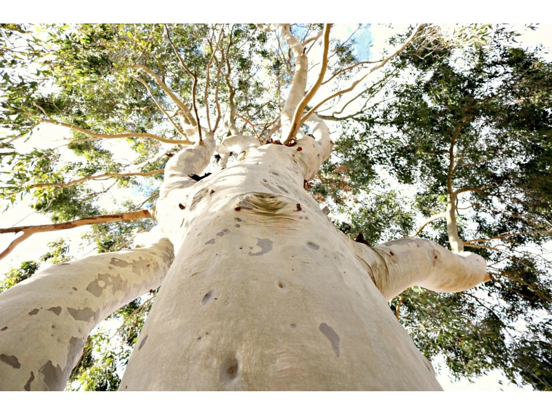 122 Railway Road, Toodyay WA 6566