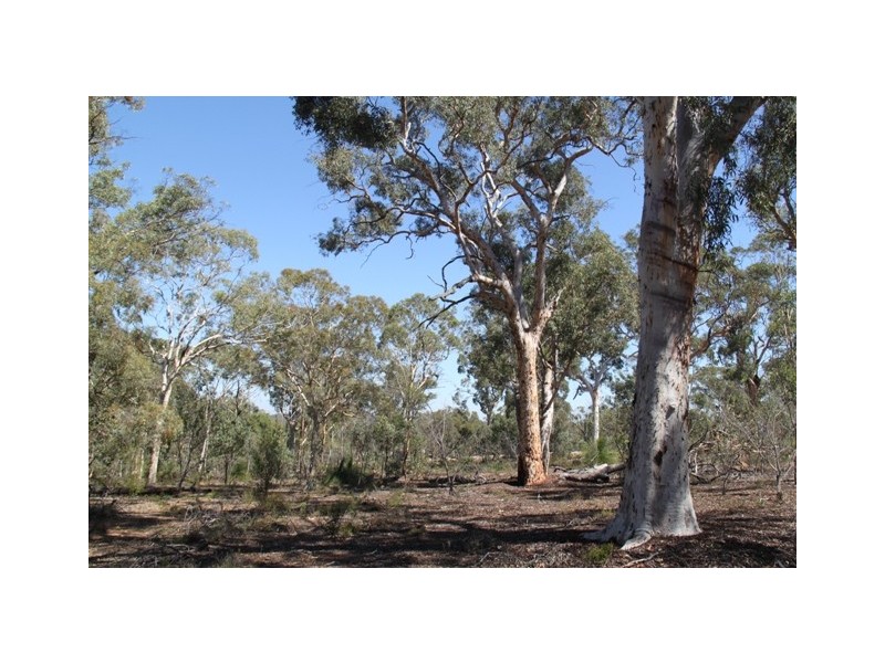 39 Laterite Way, Toodyay WA 6566