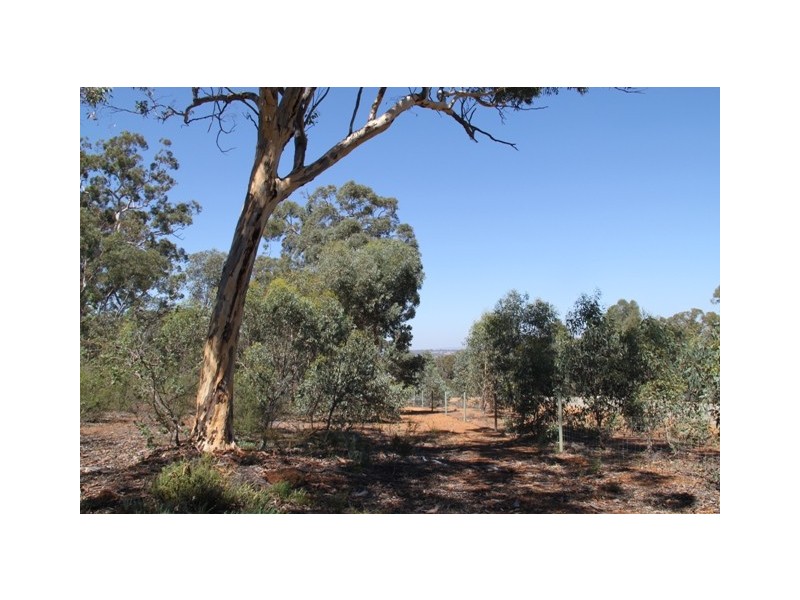 39 Laterite Way, Toodyay WA 6566