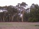 99 Cockatoo Drive, Bindoon WA 6502