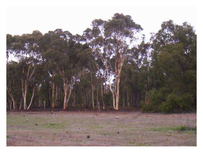 99 Cockatoo Drive, Bindoon WA 6502