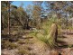99 Cockatoo Drive, Bindoon WA 6502