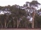 99 Cockatoo Drive, Bindoon WA 6502
