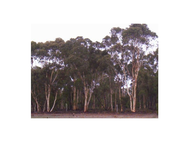 99 Cockatoo Drive, Bindoon WA 6502