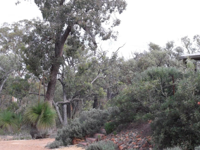 80 Ridley Circle, Toodyay WA 6566