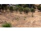 28 Settlers Ridge, Toodyay WA 6566