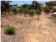 28 Settlers Ridge, Toodyay WA 6566