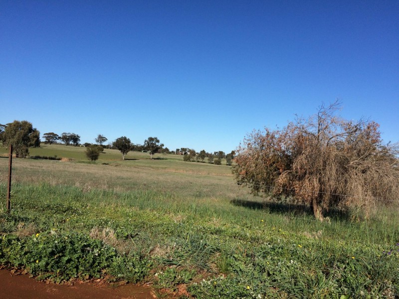 135 Seventh Road, Toodyay WA 6566