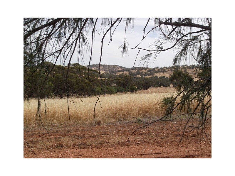 68 Telegraph Road, Toodyay WA 6566