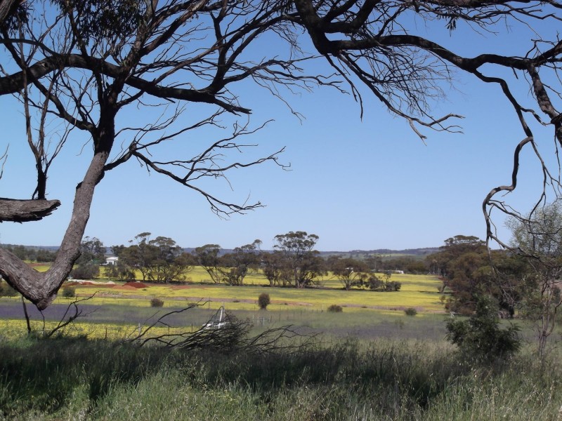 26 Walkey Close, Toodyay WA 6566