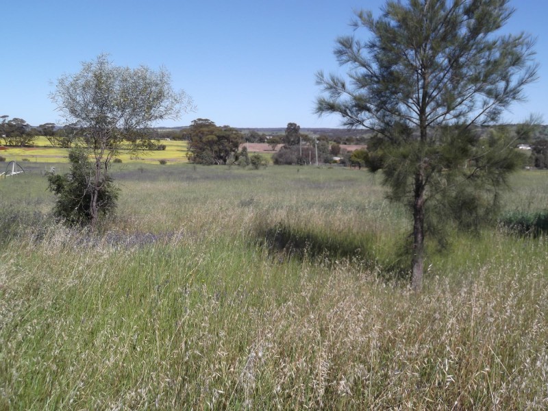 26 Walkey Close, Toodyay WA 6566