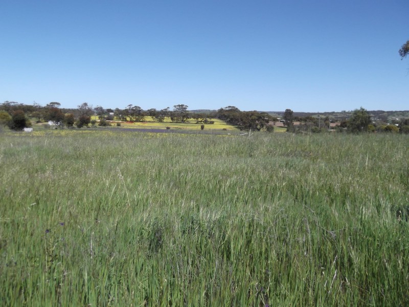 26 Walkey Close, Toodyay WA 6566