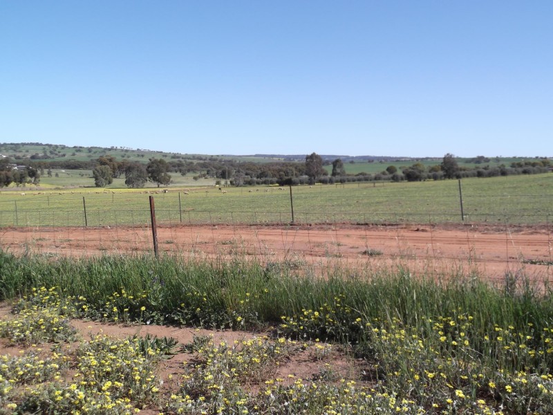 26 Walkey Close, Toodyay WA 6566