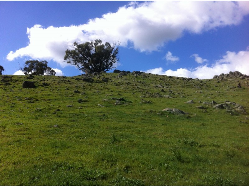 Lot 119 Drumree Drive, Toodyay WA 6566