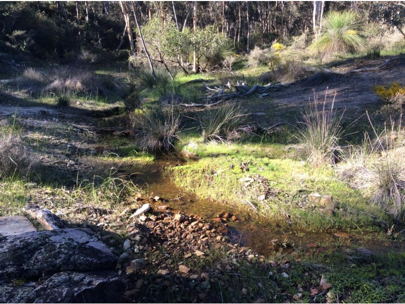 114 Frank Venn Road, Toodyay WA 6566