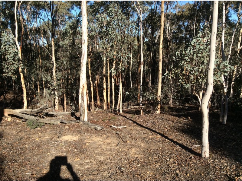 114 Frank Venn Road, Toodyay WA 6566