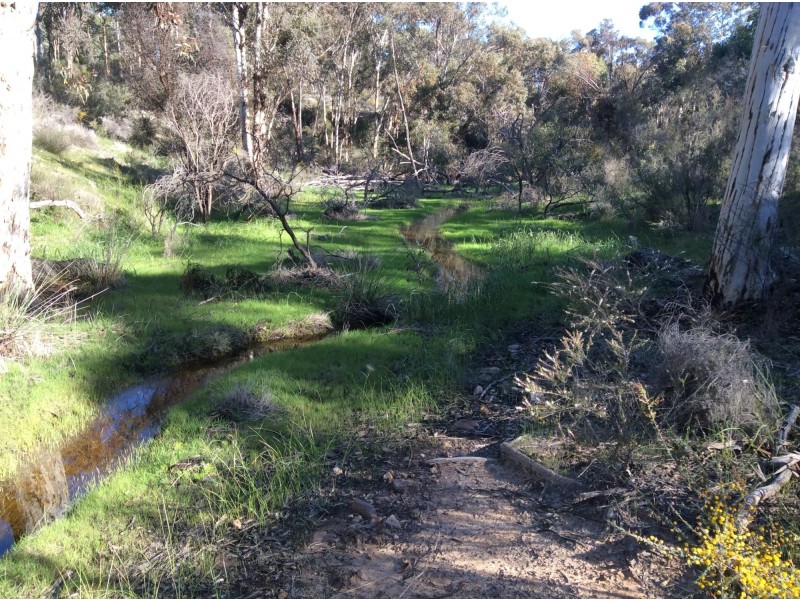 114 Frank Venn Road, Toodyay WA 6566