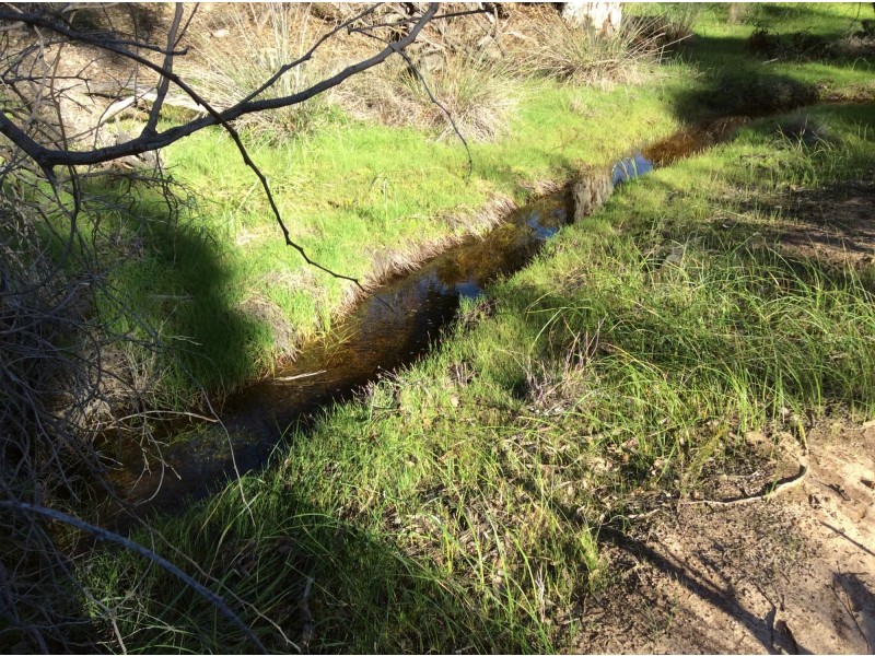 114 Frank Venn Road, Toodyay WA 6566