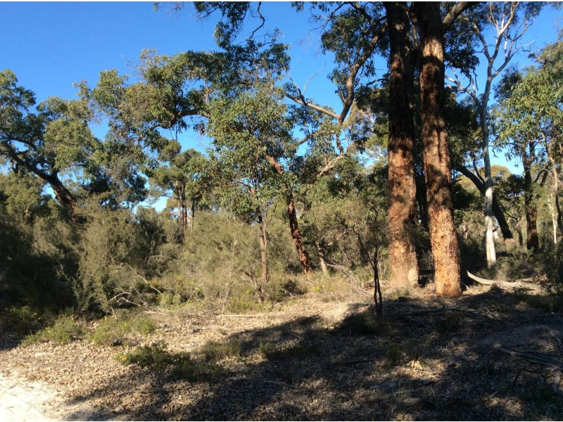 114 Frank Venn Road, Toodyay WA 6566