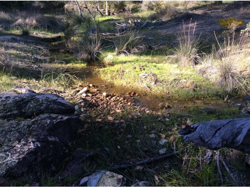 114 Frank Venn Road, Toodyay WA 6566