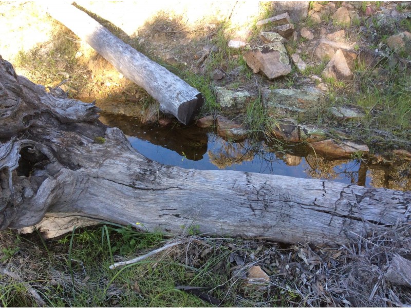 114 Frank Venn Road, Toodyay WA 6566