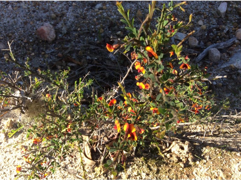 114 Frank Venn Road, Toodyay WA 6566