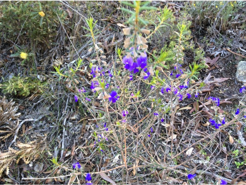 114 Frank Venn Road, Toodyay WA 6566