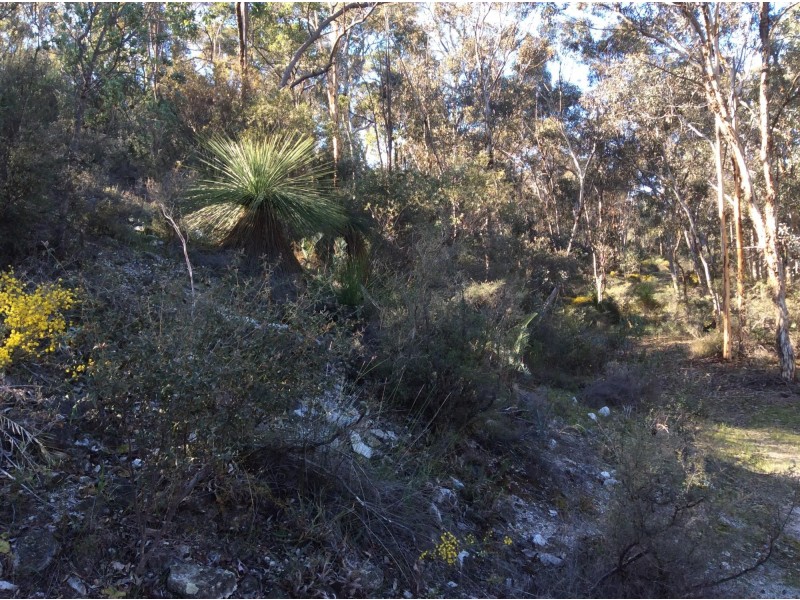 114 Frank Venn Road, Toodyay WA 6566