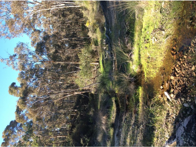 114 Frank Venn Road, Toodyay WA 6566