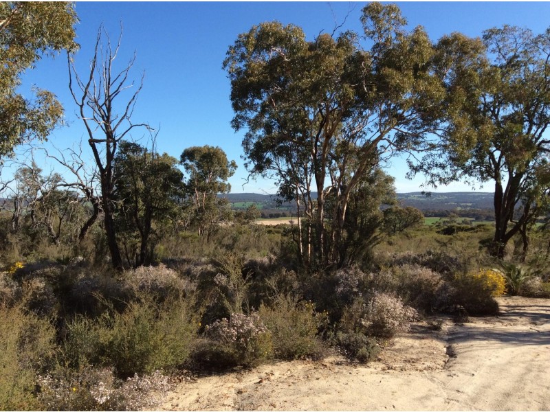 114 Frank Venn Road, Toodyay WA 6566