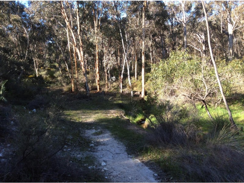 114 Frank Venn Road, Toodyay WA 6566