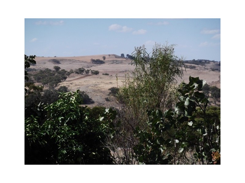 128 Folewood Road, Toodyay WA 6566