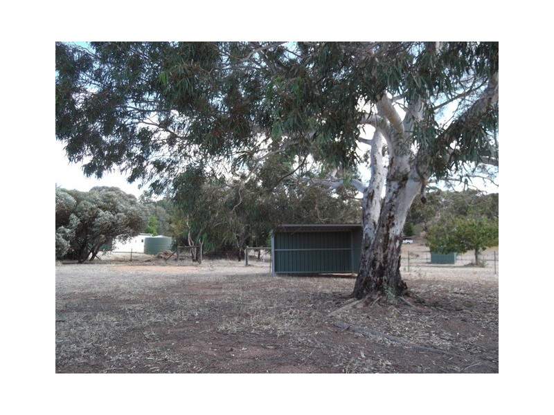 128 Folewood Road, Toodyay WA 6566