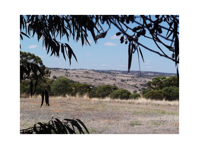 128 Folewood Road, Toodyay WA 6566