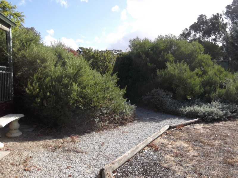 128 Folewood Road, Toodyay WA 6566