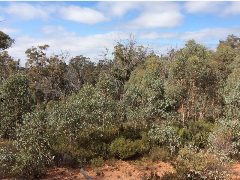 36 Hibbertia Place, Toodyay WA 6566