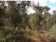 36 Hibbertia Place, Toodyay WA 6566
