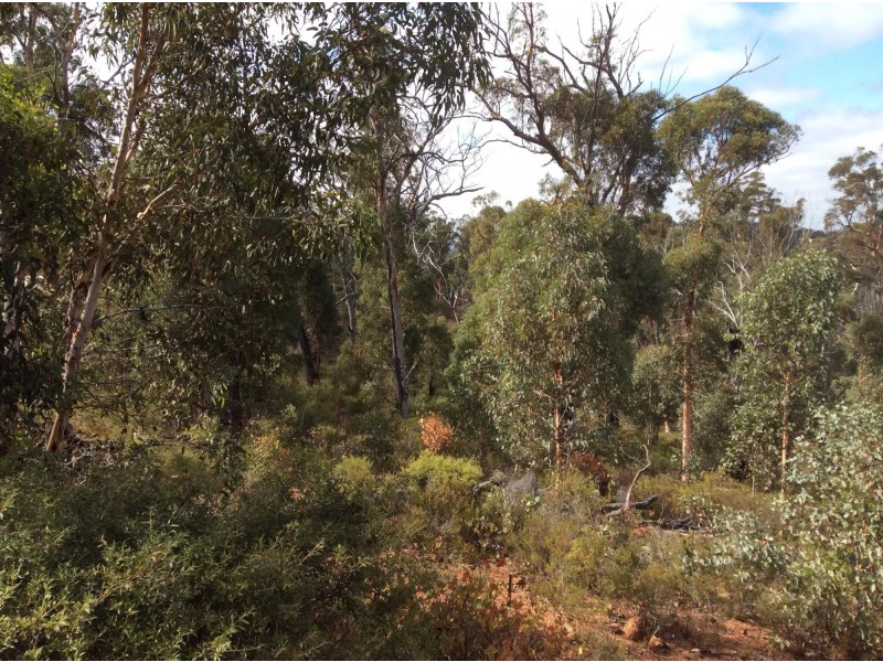 36 Hibbertia Place, Toodyay WA 6566