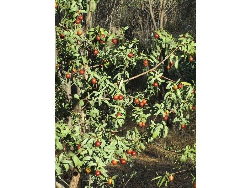 290 Railway Road, Toodyay WA 6566